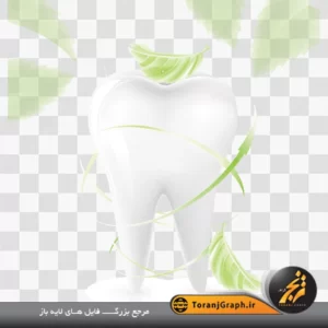 وکتور لایه باز دندان و برگ سبز